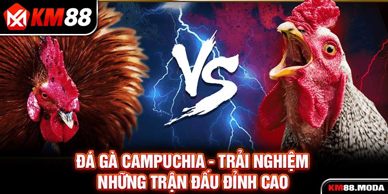 Tin Tức KM88 - slotvoro96.fit