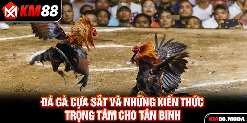Tin Tức KM88 - slotvoro96.fit