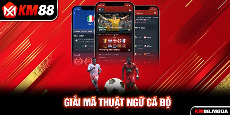 Thuật Ngữ Cá Độ | Tổng Hợp 4 Thể Loại Từ Khóa Thường Gặp