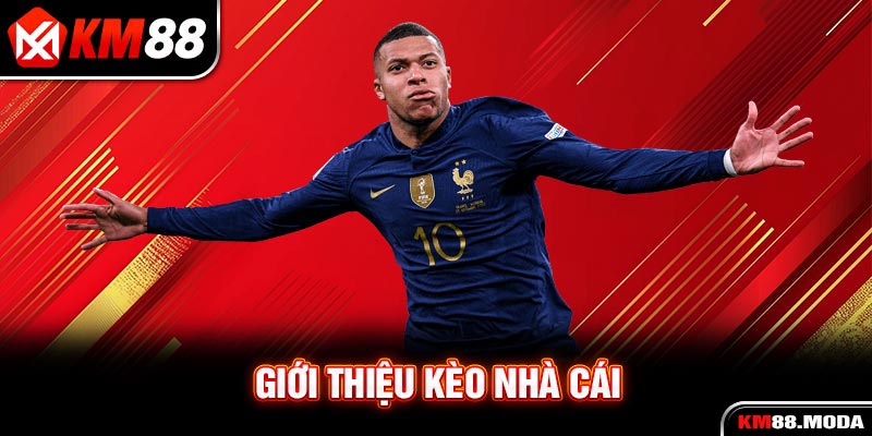 Kèo Nhà Cái | Giới Thiệu Top 3 Loại Kèo Được Ưa Chuộng Nhất