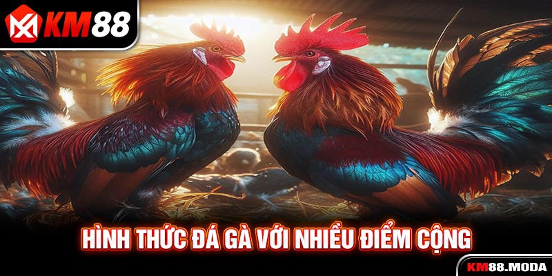 Đá Gà Campuchia - Trải Nghiệm Những Trận Đấu Đỉnh Cao