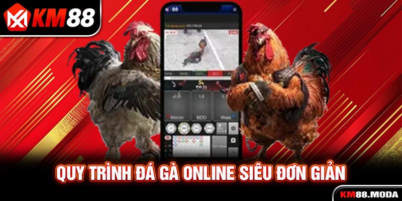 Đá Gà KM88 - Sân Chơi Online Chuyên Nghiệp Đầy Kịch Tính