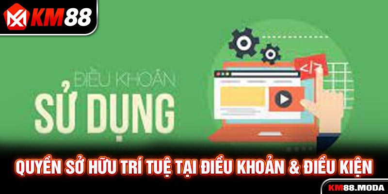 Điều Khoản & Điều Kiện KM88 - Nội Dung Cập Nhật Mới Nhất