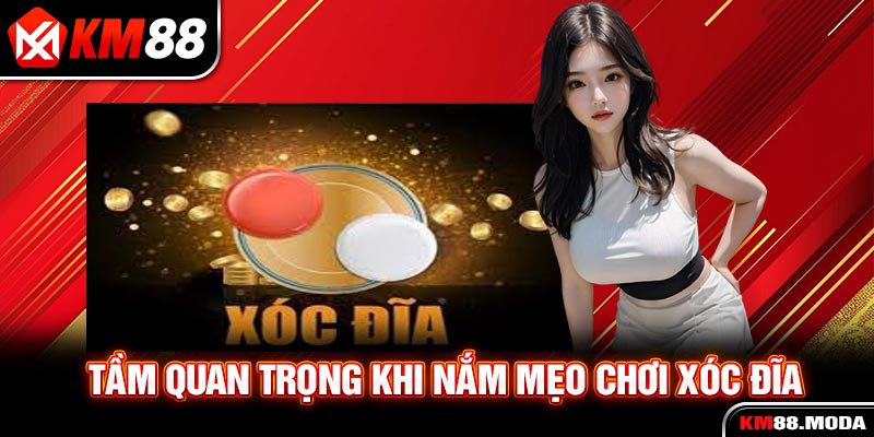 Mẹo Chơi Xóc Đĩa - Bí Thuật Thắng Từ Cao Thủ Chuyên Nghiệp