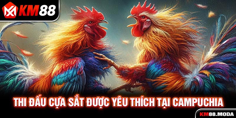 Đá Gà Campuchia - Trải Nghiệm Những Trận Đấu Đỉnh Cao