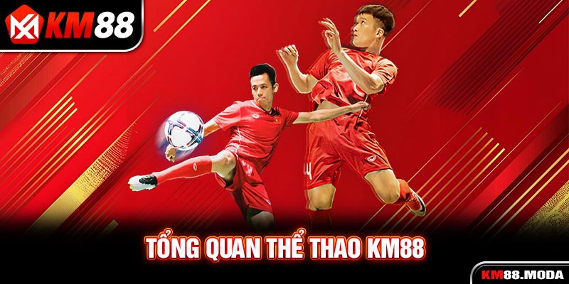 Thể Thao KM88 | Điểm Danh Top 4 Game Nổi Danh Nhất Nên Thử